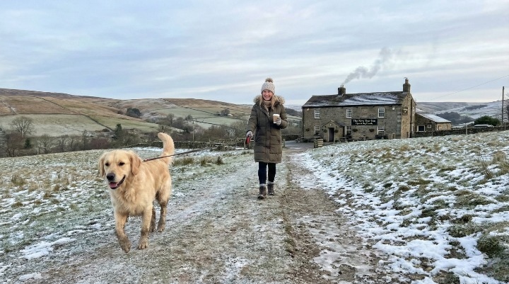 Best New Year's Day 2026 Walks for Dogs