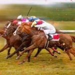 Horse Racing