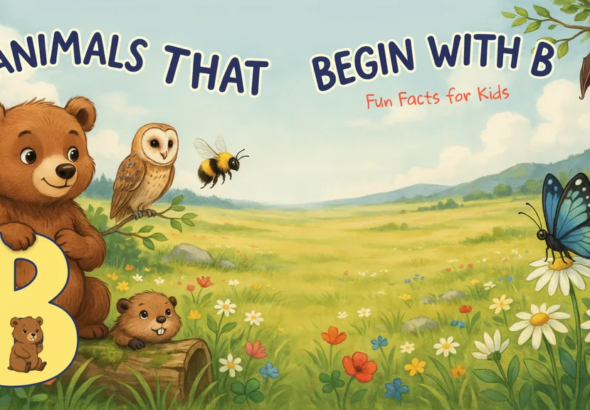 Animals Begin with B