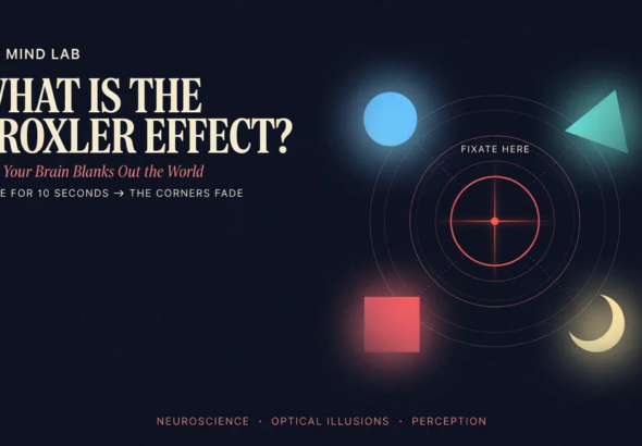 Troxler Effect