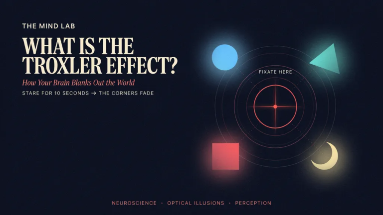 Troxler Effect